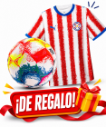 PROMO REMERA PELOTA TOKYO